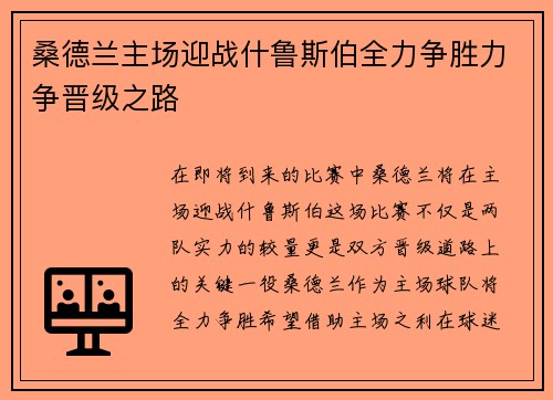桑德兰主场迎战什鲁斯伯全力争胜力争晋级之路